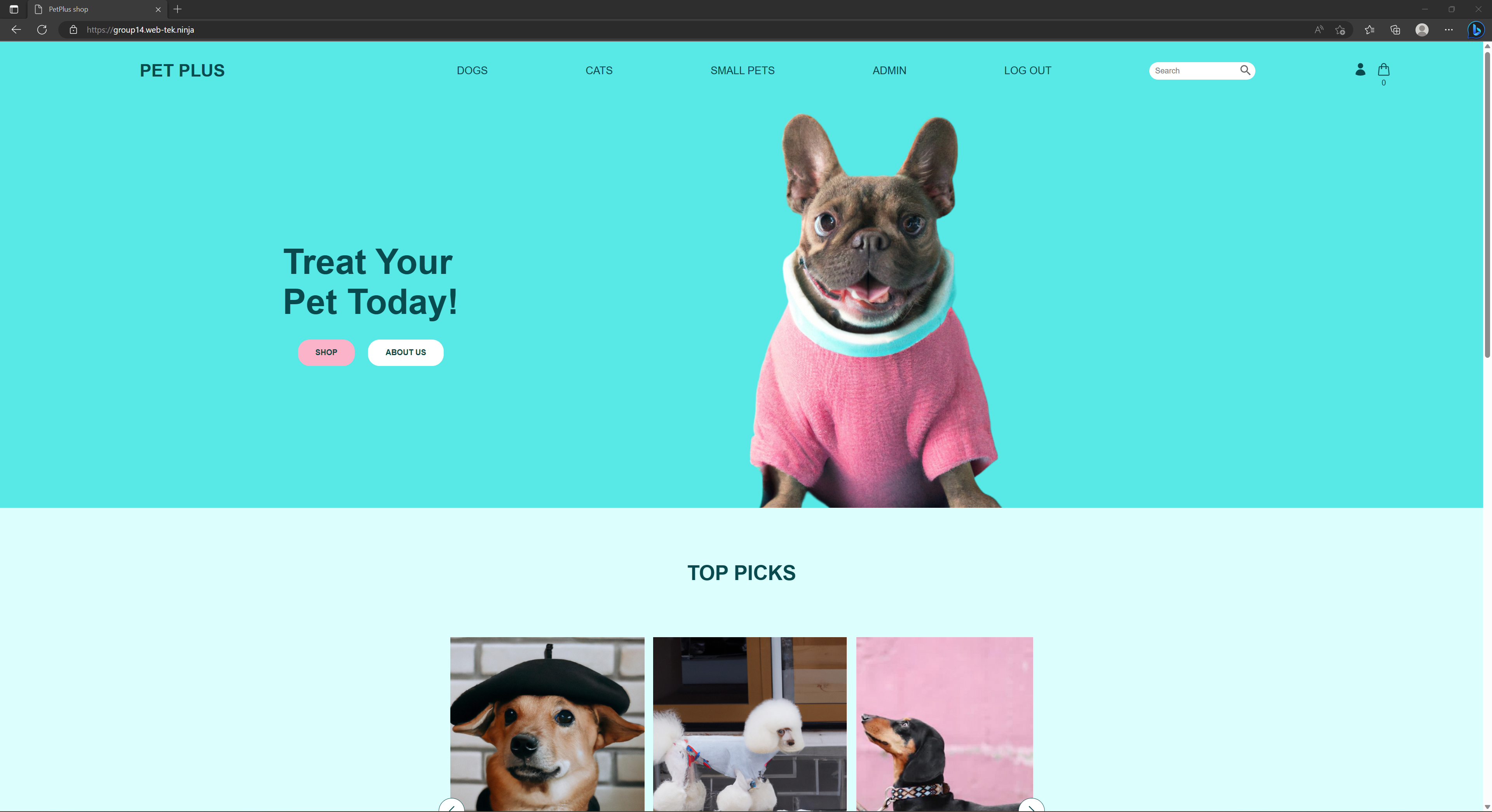 PetPlus Store